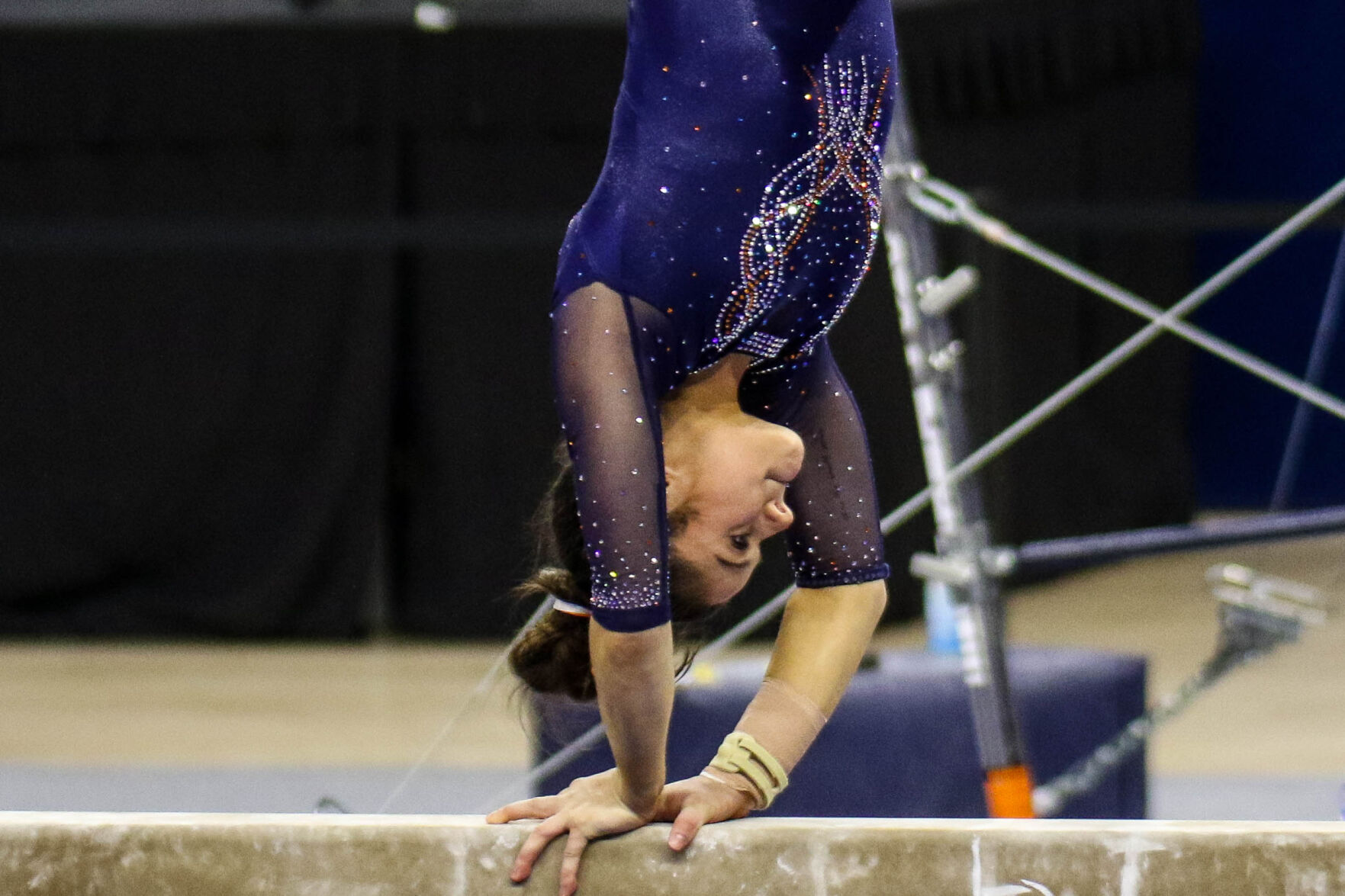 Auburn vs. Georiga gymnastics